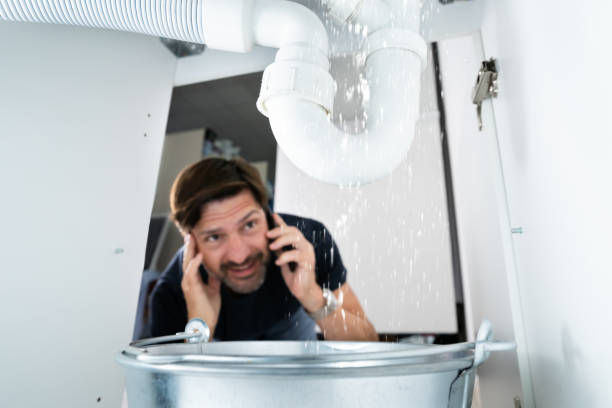 Best Emergency Plumbing Repair  in Volo, IL