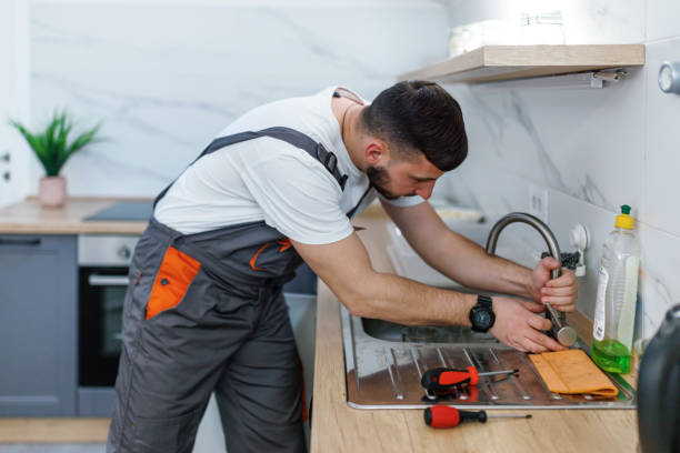 Best Leak Detection Services  in Volo, IL