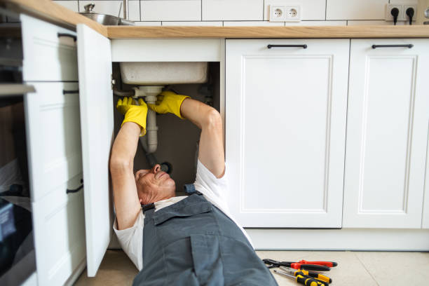Best Septic Systems  in Volo, IL