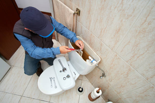 Best Local Plumber Services  in Volo, IL