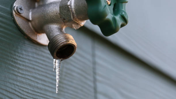 Professional Plumbing in Volo, IL