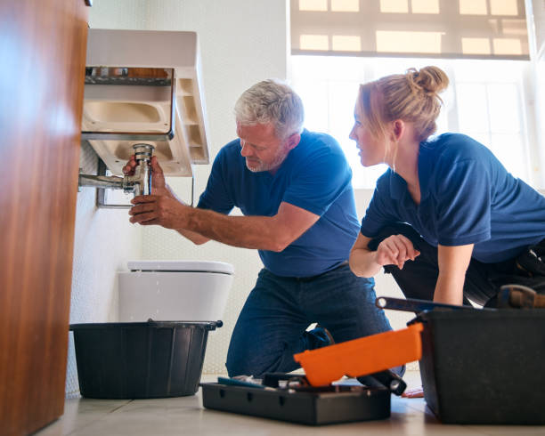 Best Plumbing Services Near Me  in Volo, IL