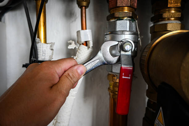 Best Local Plumber Services  in Volo, IL